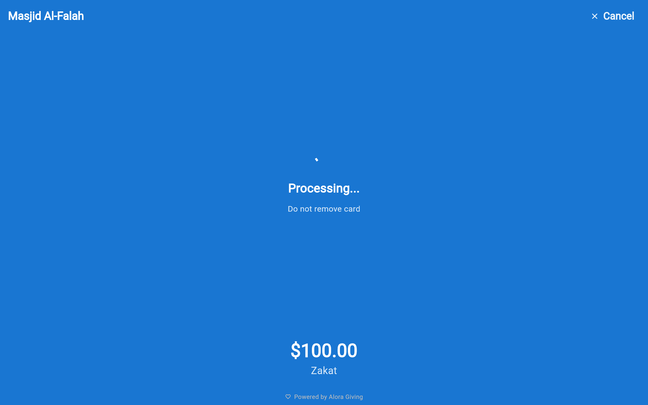 Kiosk payment screen
